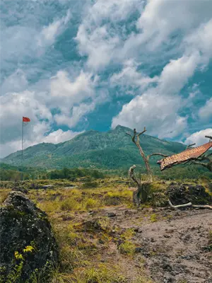 kintamani mount batur volcano, batur hotspring, tirta empul temple Fullday Tour baliwonderstour